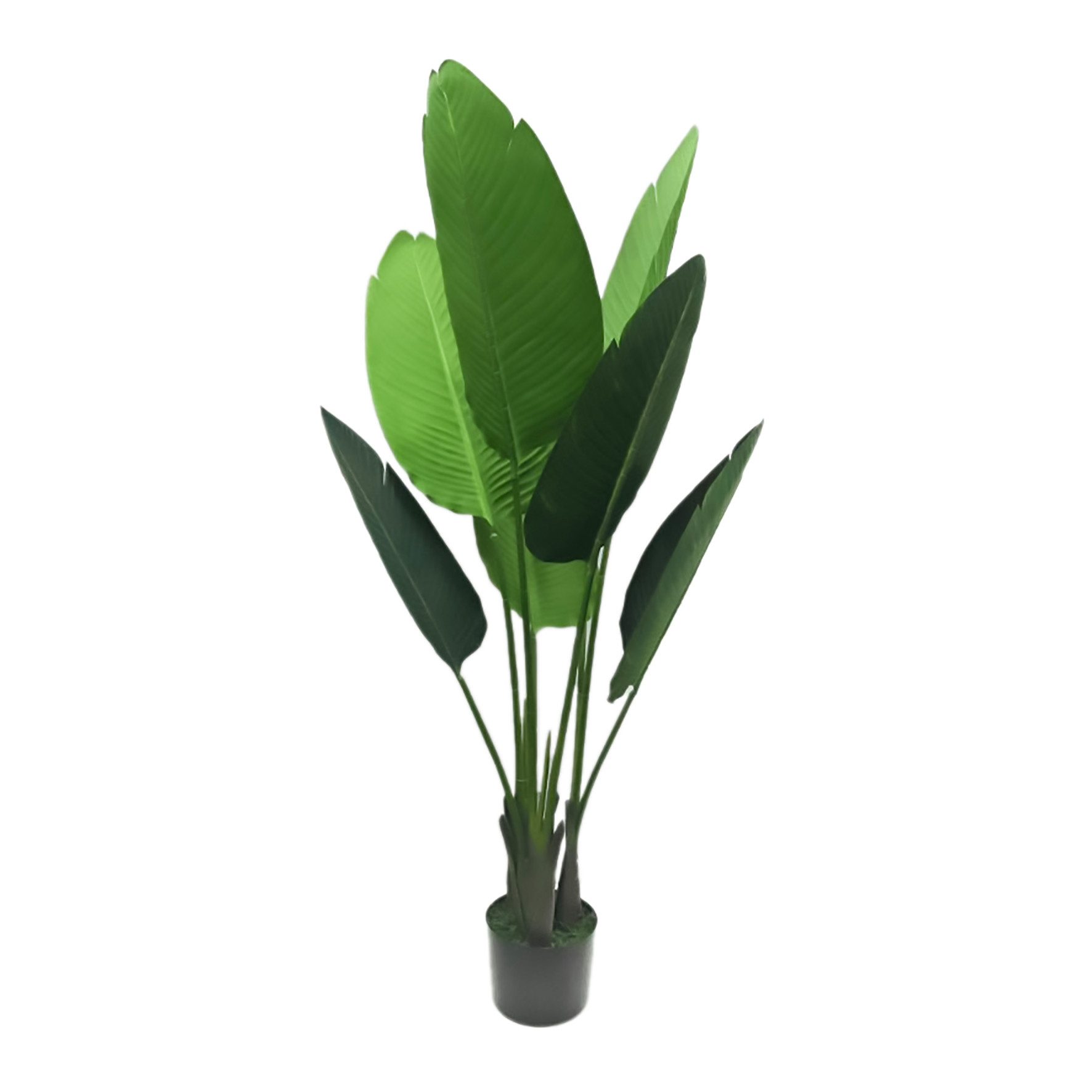 Kunstpflanze Kunstpflanze, Palme, Bananenpflanze, Groß und sehr realistisch günstig online kaufen