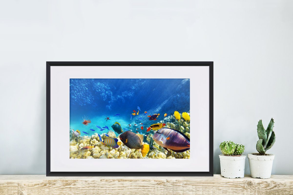 Gerahmtes - Rahmen, Korallen mit Schwarzem St), Poster, Poster - MuchoWow Meer - (1 Kunstdruck, Unterwasserwelt, Bilderrahmen Fische