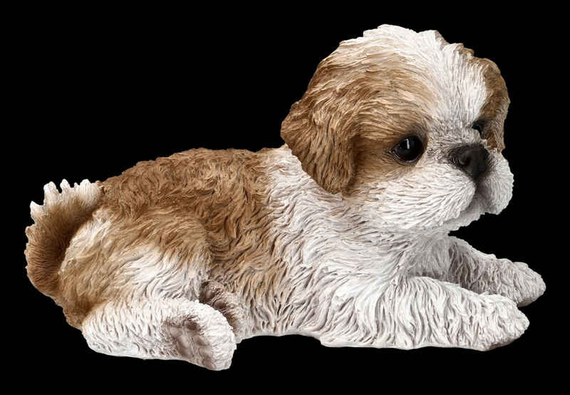 Figuren Shop GmbH Dekofigur Shih Tzu Welpen Figur liegend - Hunde Dekofigur Hundewelpen