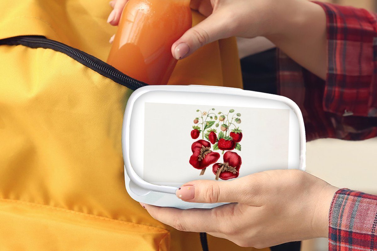 Jungs (2-tlg), - für weiß - Mädchen Kunststoff, Erwachsene, für und Lunchbox Erdbeeren Brotbox Brotdose, MuchoWow und Kinder Obst Pflanze,