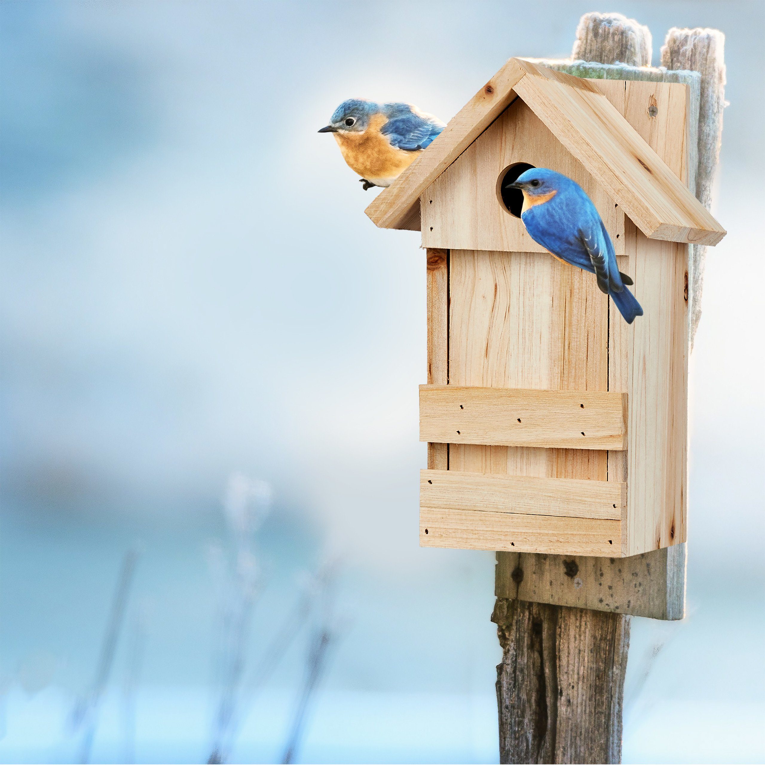 relaxdays Nistkasten aus Holz mit Spitzdach