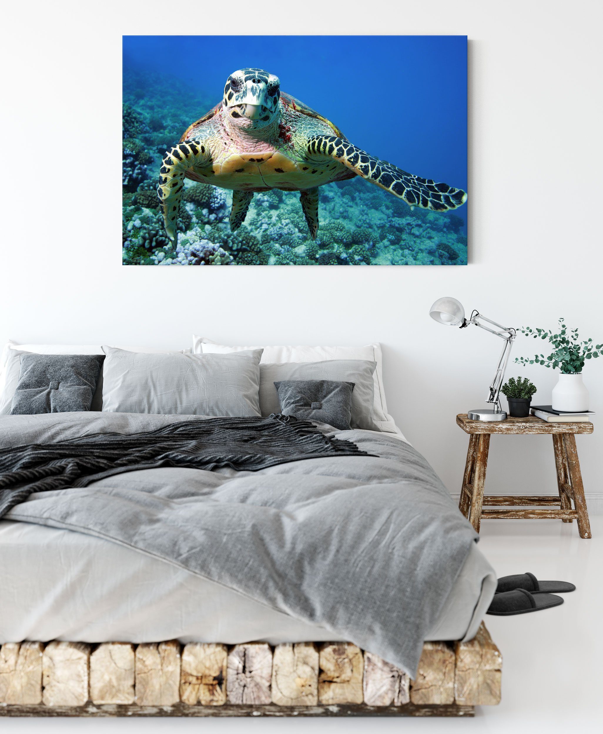 Pixxprint Leinwandbild Schildkröte St), Schildkröte bespannt, inkl. Leinwandbild (1 Korallenriff, Korallenriff fertig Zackenaufhänger