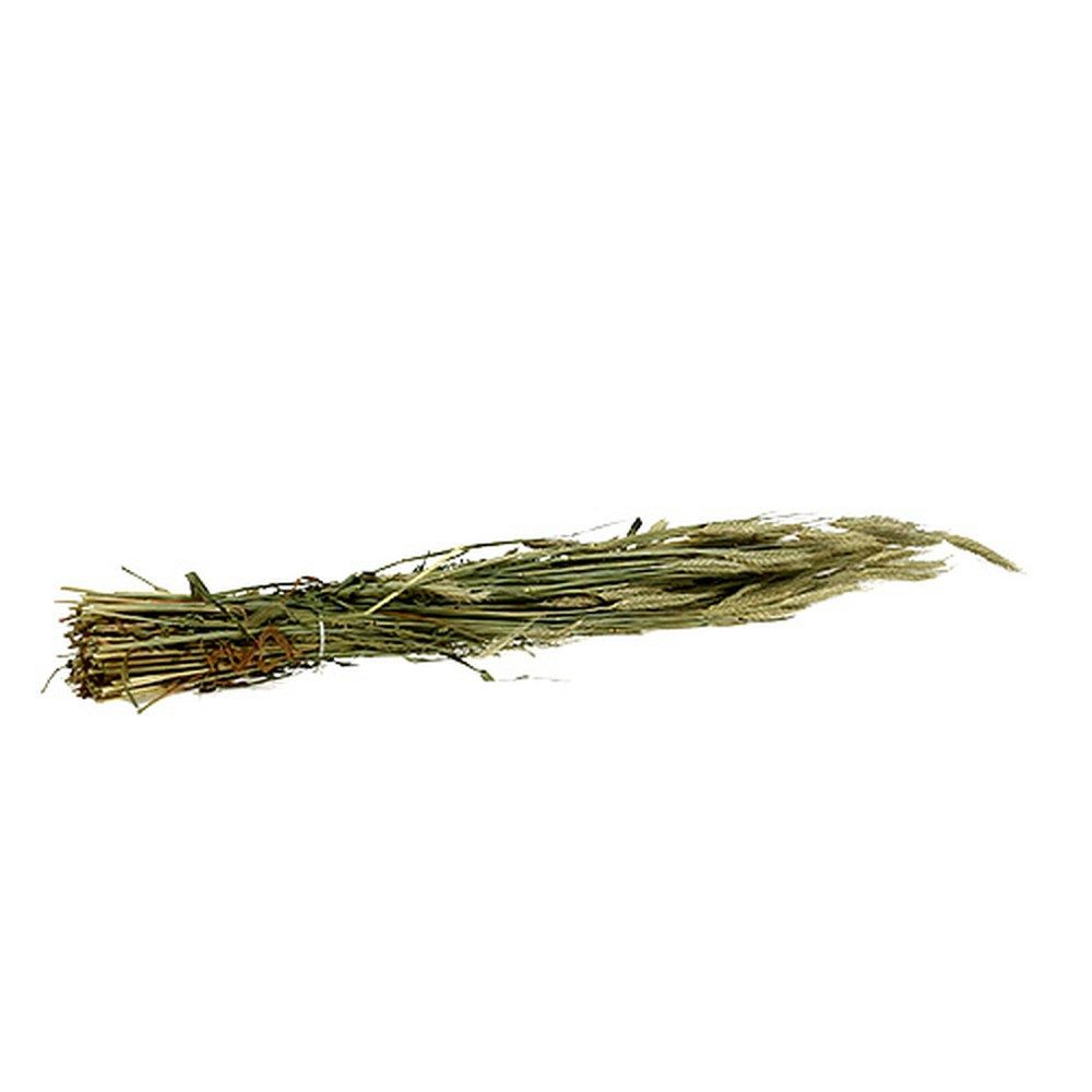 Trockenblume Getreide Dekostrauß Gerste für rustikale Tischdekoration, Viana, Höhe 8 cm