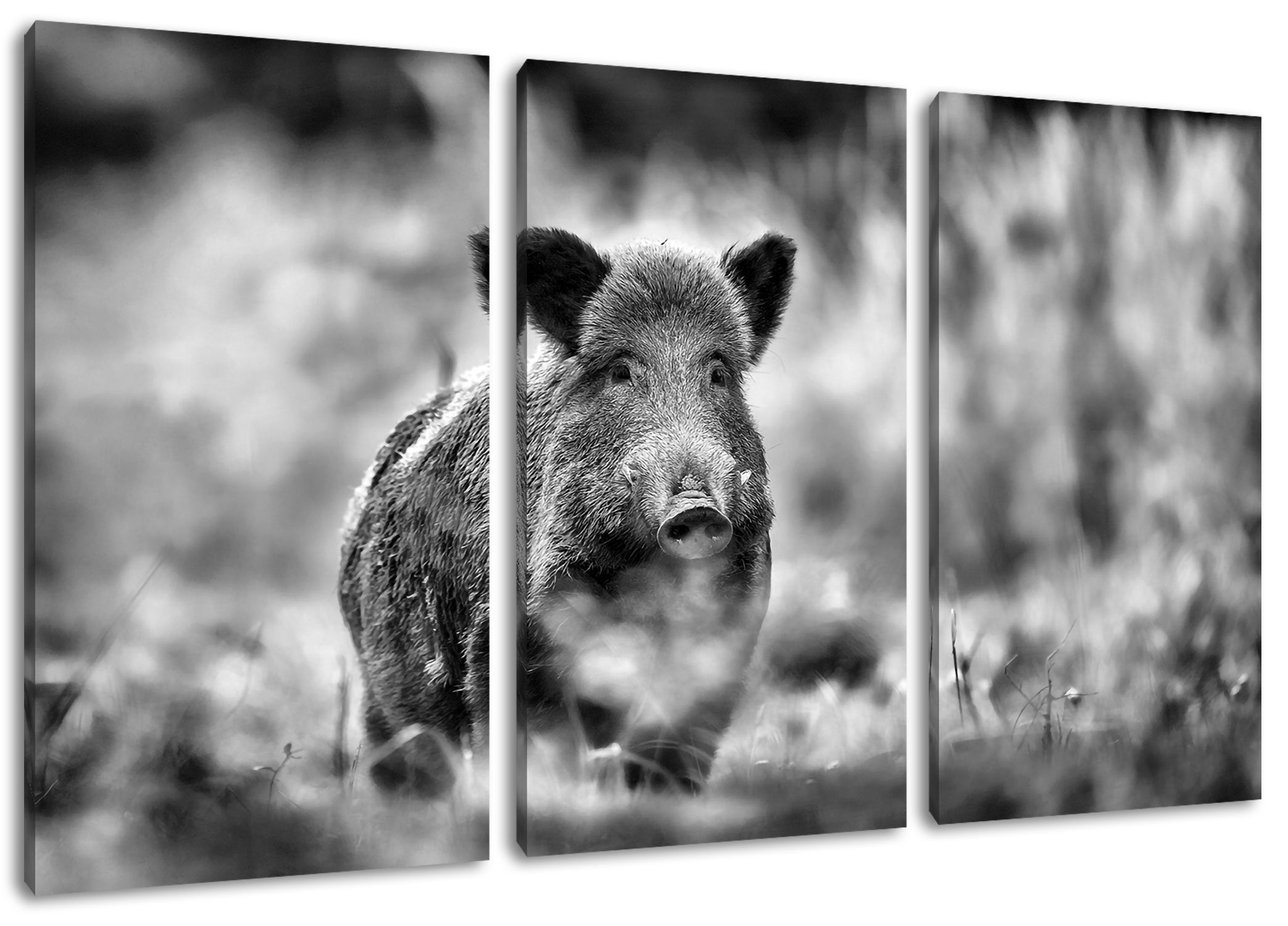 Pixxprint Leinwandbild Stolzes Wildschwein im Wald, Stolzes Wildschwein im Wald 3Teiler (120x80cm) (1 St), Leinwandbild fertig bespannt, inkl. Zackenaufhänger