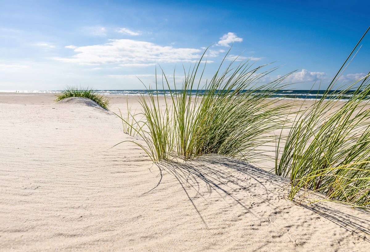 Papermoon Fototapete DÜNEN-NATUR NORD SEE SAND STRAND MEER WÜSTE LANDSCHAFT