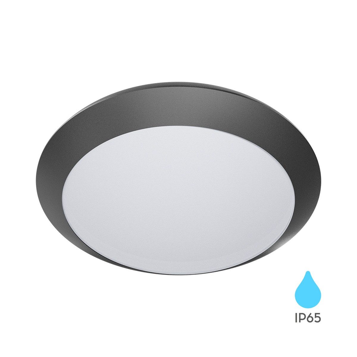 Braytron LED Deckenleuchte Deckenleuchte Deckenlampe Deckenlicht E27 Grau Eingang Flur A, ohne Leuchtmittel, IP65 wasserdicht
