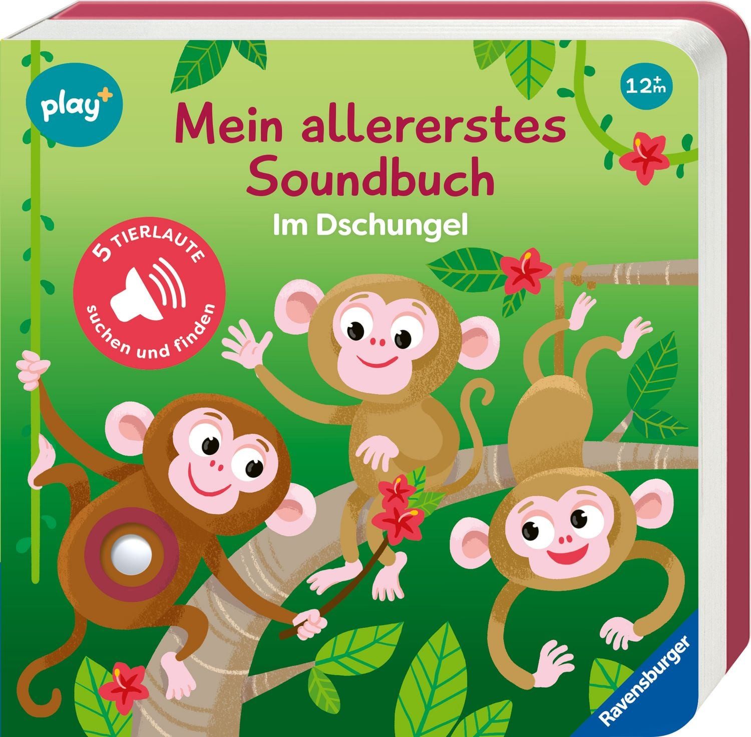Play+ Mein allererstes Soundbuch Im Dschungel - ab 12 Monate / Maria Höck, Sachen suchen und hören