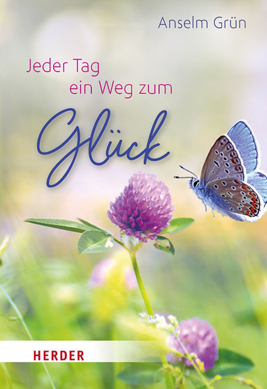 Jeder Tag ein Weg zum Glück / Anselm Grün
