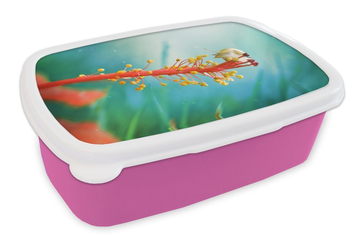 Erwachsene, - Kunststoff Brotbox Lunchbox Pflanze Baum, Schnecke (2-tlg), für MuchoWow rosa - Kunststoff, Snackbox, Kinder, Brotdose Mädchen,