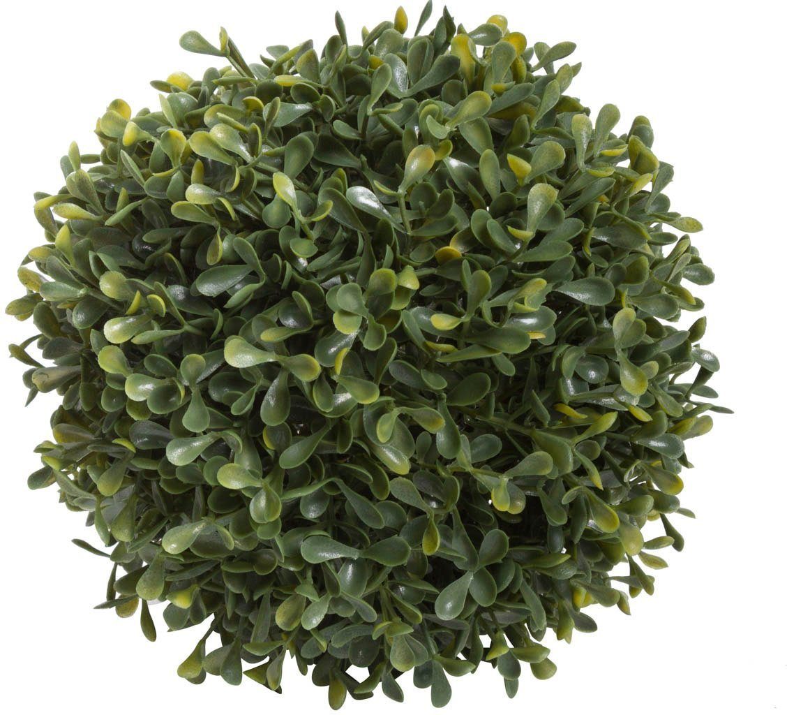 Kunstbaum Buchskugel Buchs, Botanic-Haus, Höhe 20 cm
