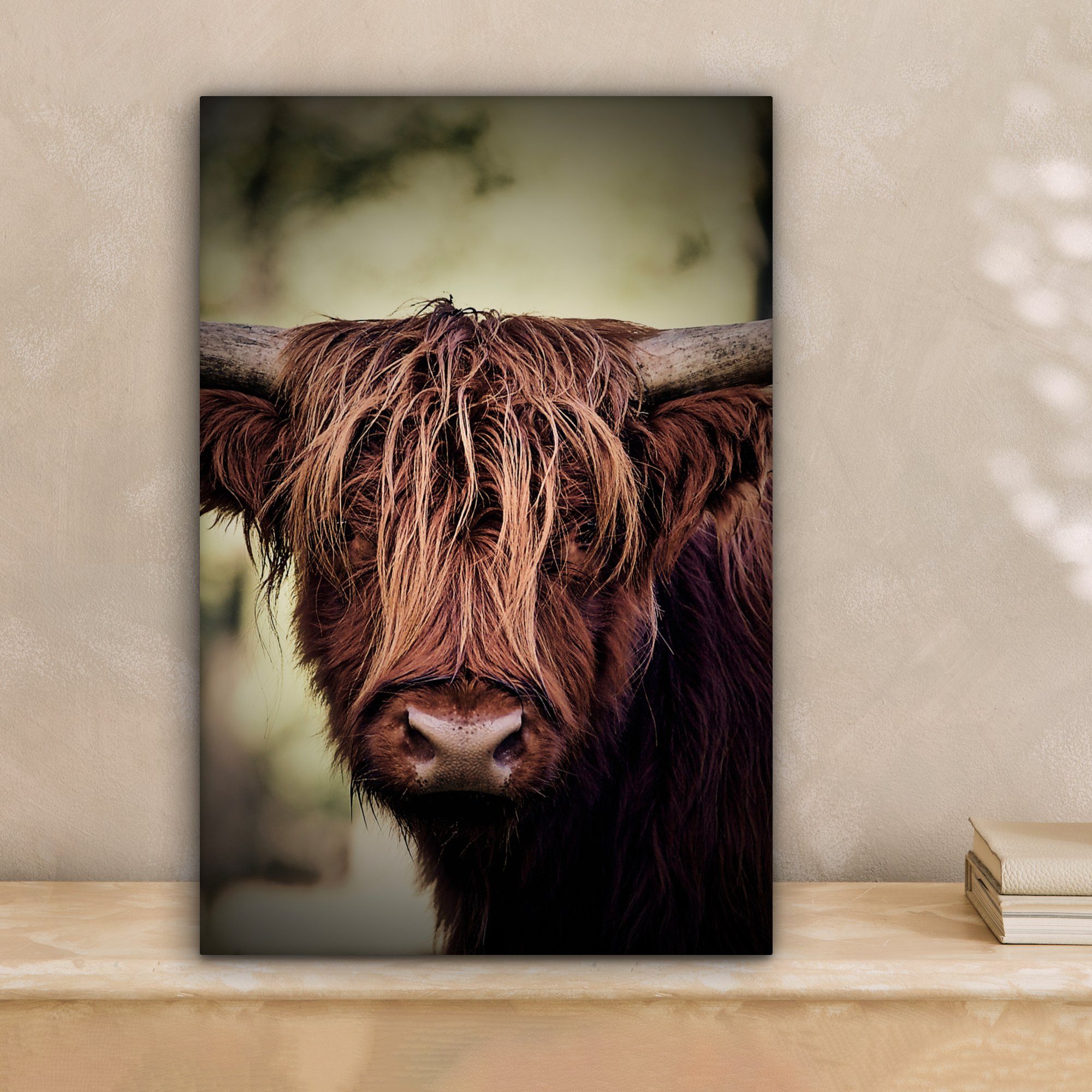 OneMillionCanvasses® Leinwandbild Schottischer Hochländer - Licht - Porträt günstig online kaufen