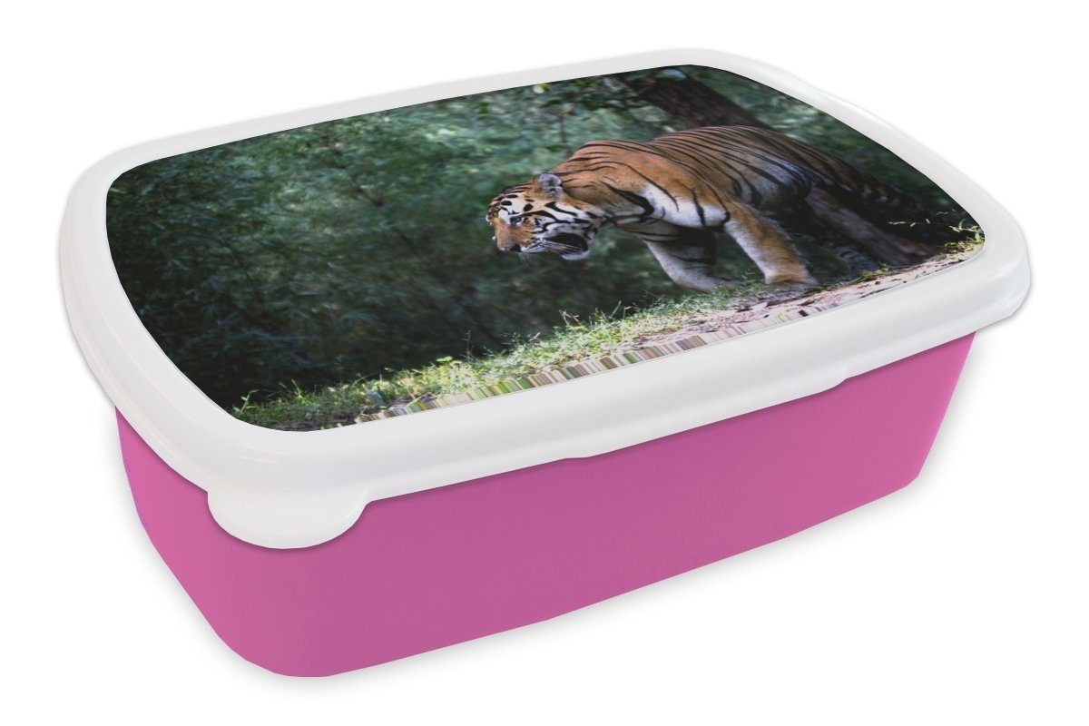 Brotdose Kunststoff, Erwachsene, Kunststoff Lunchbox Mädchen, Snackbox, rosa Tiger Wald Bäume, - Kinder, (2-tlg), Brotbox MuchoWow - für