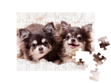 puzzleYOU Puzzle Niedliche Chihuahua-Hunde auf einer Decke, 48 Puzzleteile, puzzleYOU-Kollektionen Chihuahua