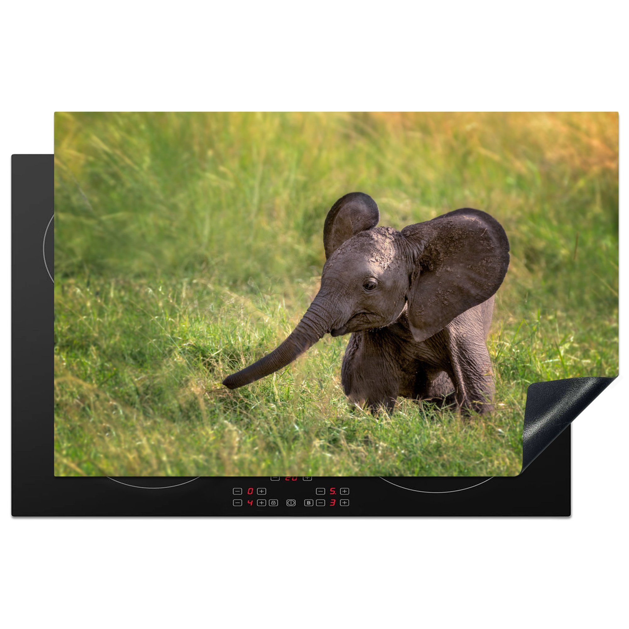 MuchoWow Herdblende-/Abdeckplatte Elefantenbaby im Gras, Vinyl, (1 tlg), 81x52 cm, Induktionskochfeld Schutz für die küche, Ceranfeldabdeckung
