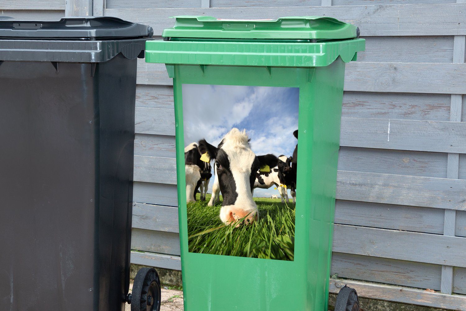 MuchoWow Wandsticker Sticker, Mülltonne, St), Mülleimer-aufkleber, - - Luft Container, - Kuh (1 Gras Nase Abfalbehälter