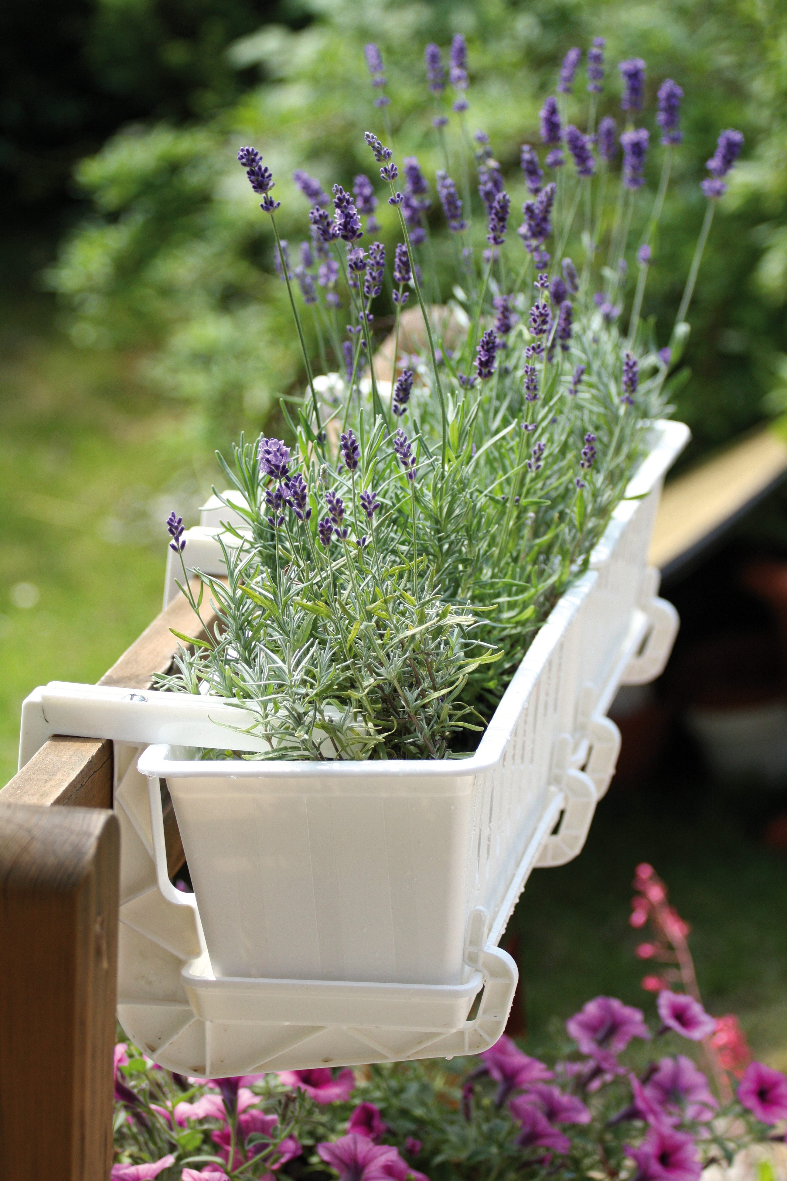 Annastore Balkonkasten Blumenkasten aus wetterfestem Kunststoff günstig online kaufen