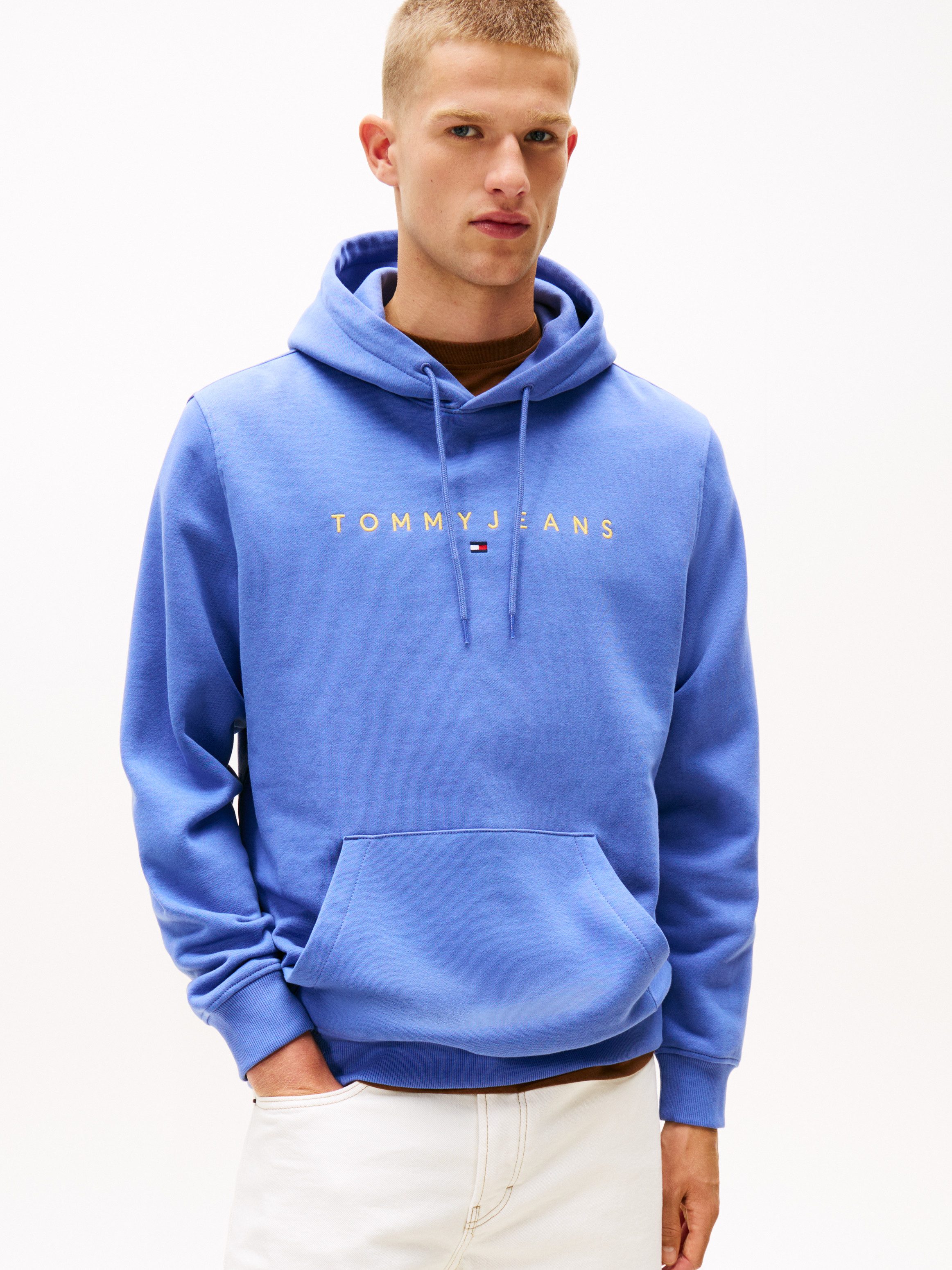 Tommy Jeans Hoodie TJM REG LINEAR günstig online kaufen
