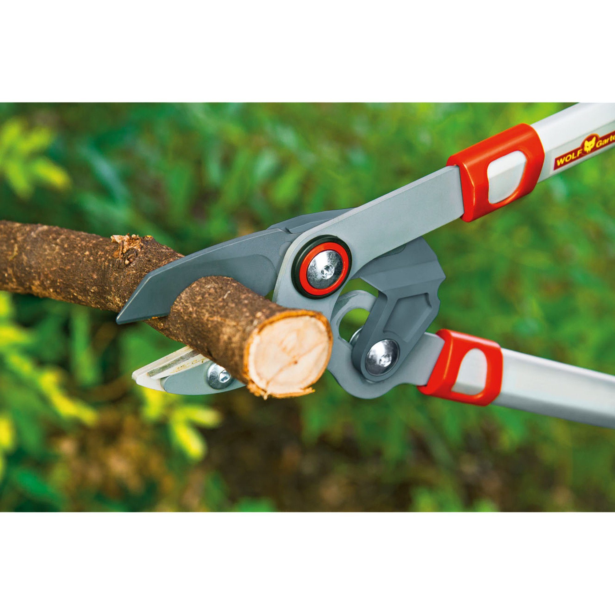 WOLF-Garten Baumschere WOLF-Garten Amboss-Astschere Power Cut RS 750