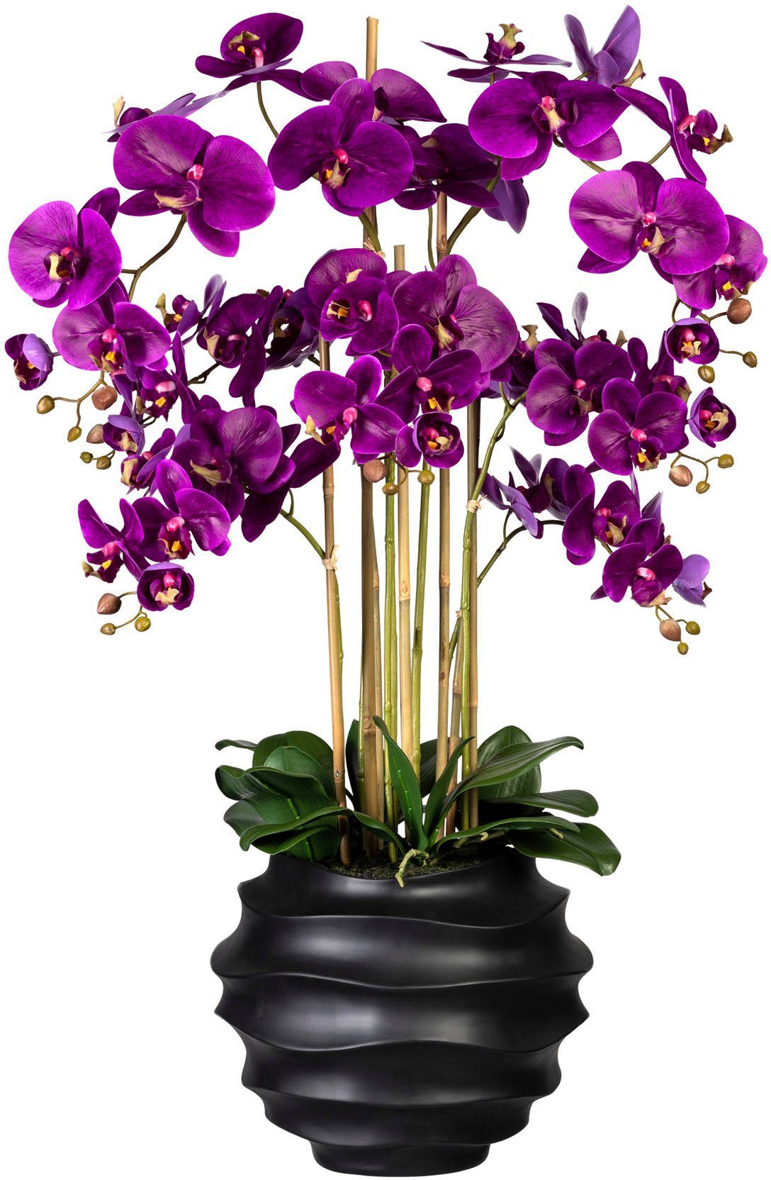 Orchidee Höhe weiß und cm, Farben: die beiden Design-Kunststoffvase, green, Sie Phalaenopsis, 95 erhalten Creativ Phalaenopsis in Kunstorchidee