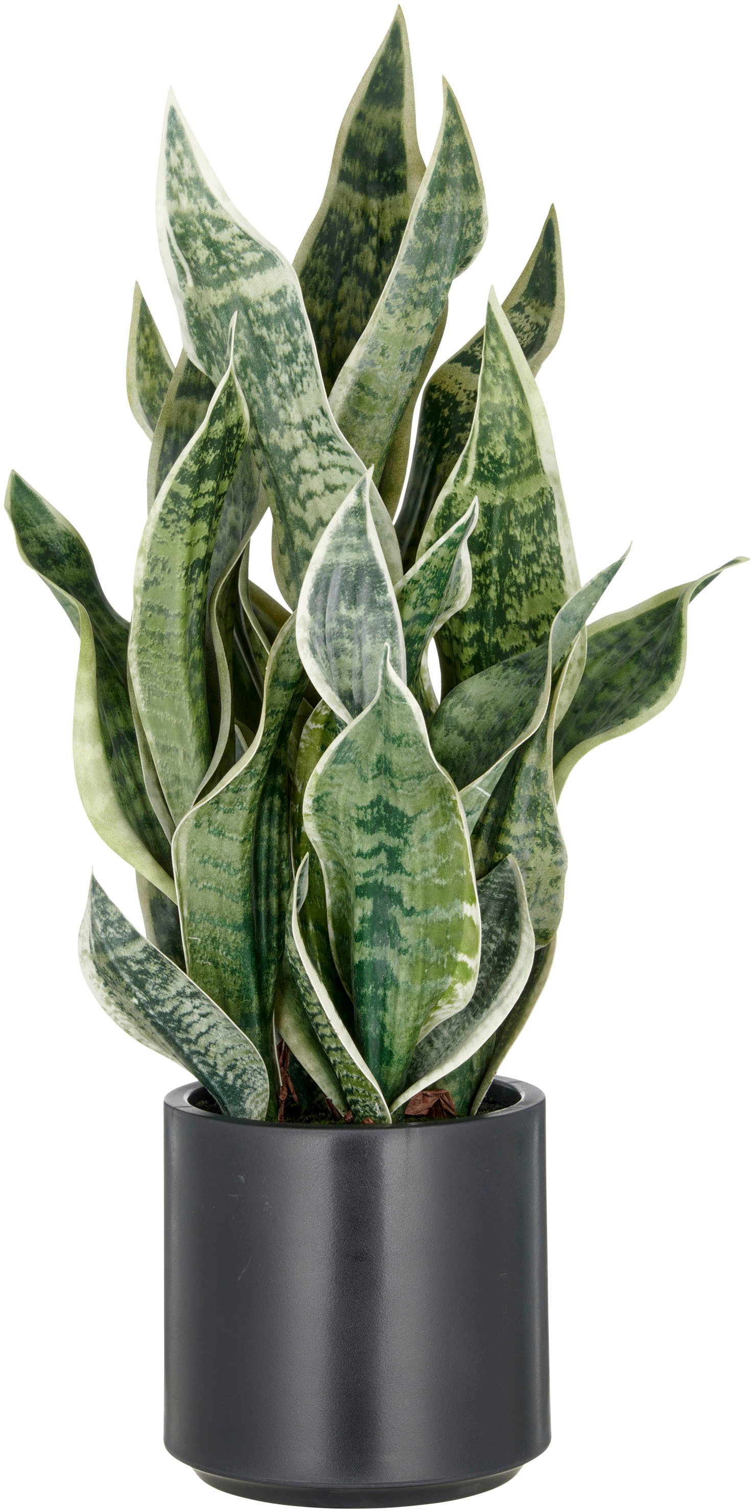 Kunstpflanze, Creativ green, Höhe 66 cm, im eleganten Pflanzgefäß