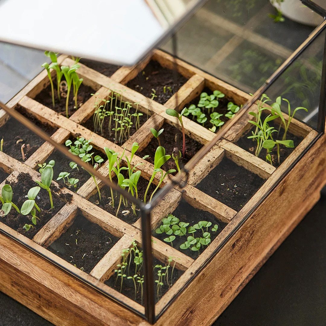 Die Stadtgärtner Anzuchttopf Anzucht-& Kräutergewächshaus, Dekoratives Zimmergewächshaus 16 Fächer, Komplett montiert