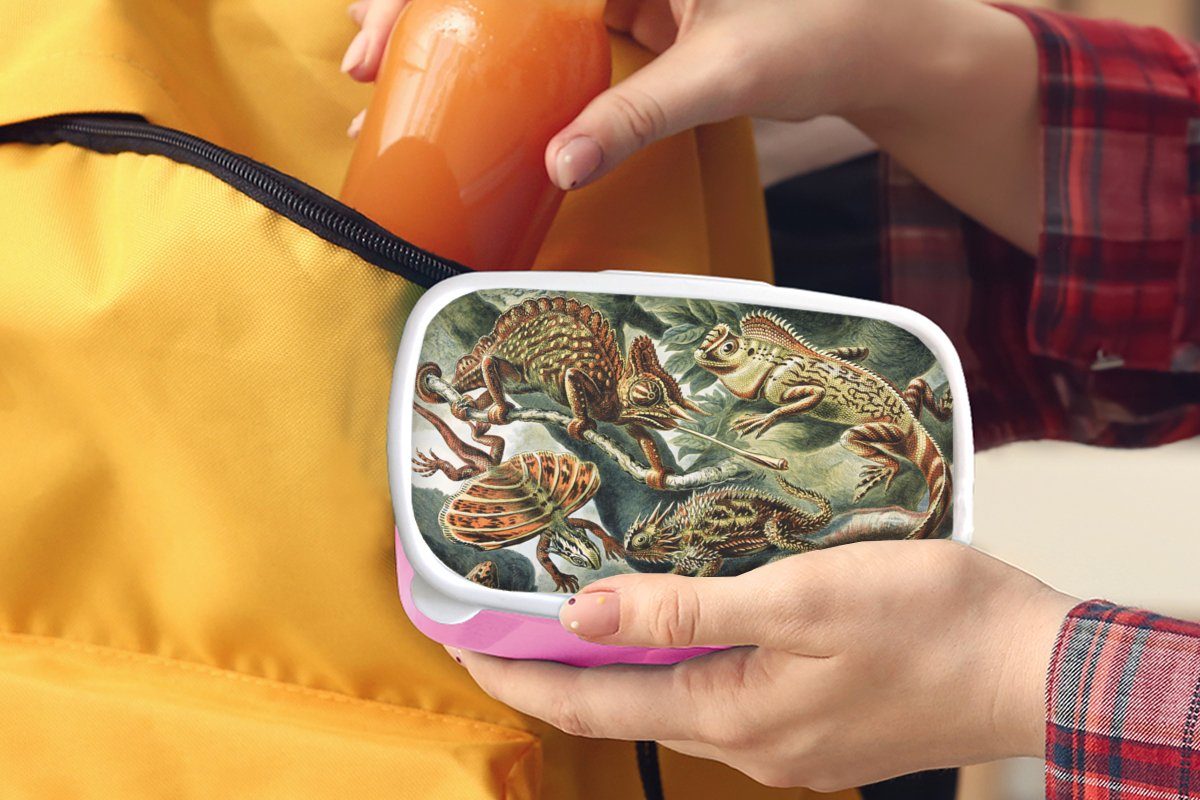 MuchoWow Lunchbox Jahrgang - Kunststoff, Tiere, Snackbox, Salamander Ernst - - - Haeckel für Brotbox (2-tlg), Kunst Brotdose Erwachsene, Kinder, Kunststoff Mädchen, rosa