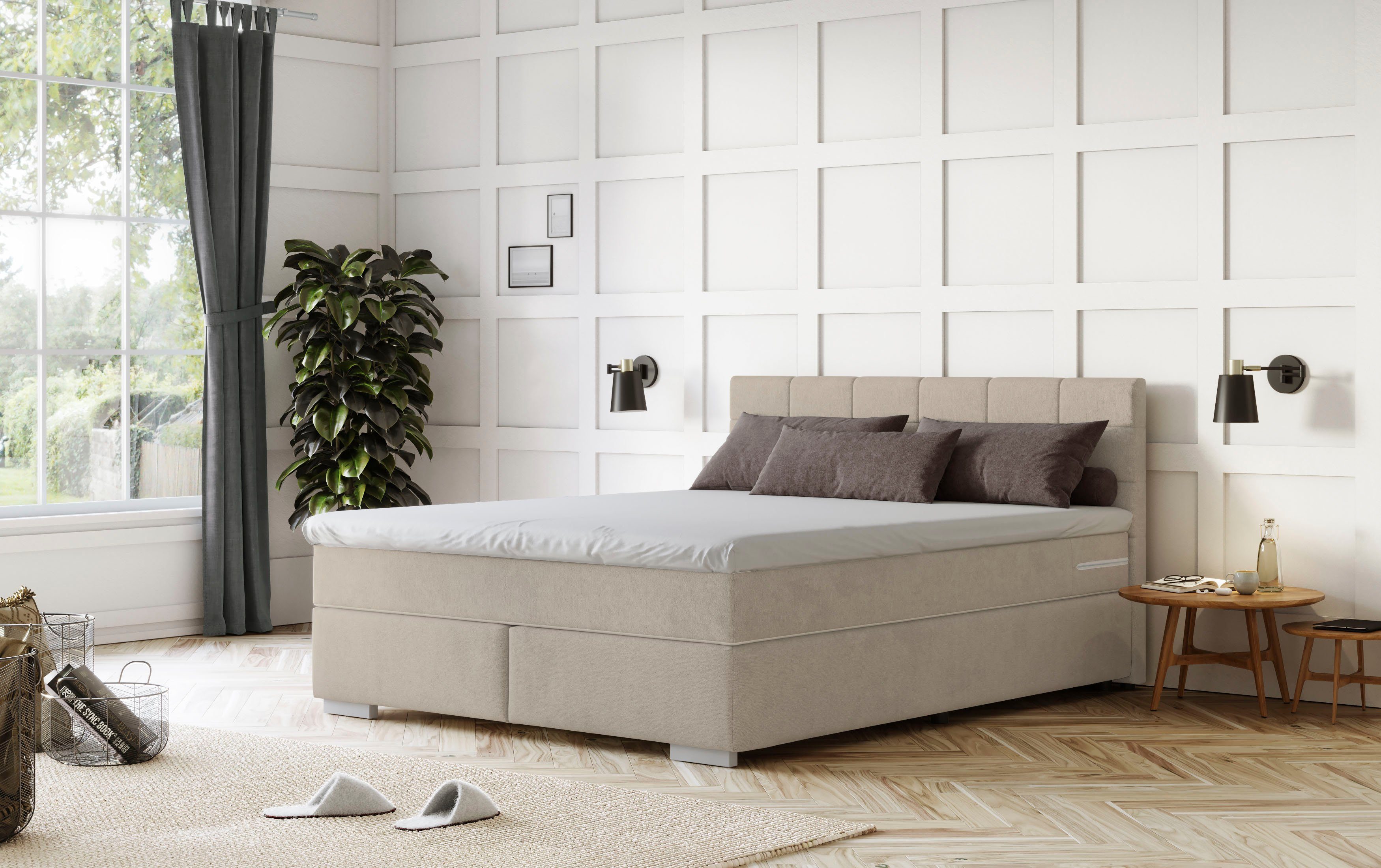 COTTA Boxspringbett Simba, Topseller! wahlweise mit oder ohne Matratze und günstig online kaufen