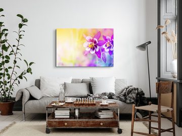 Sinus Art Leinwandbild 120x80cm Wandbild auf Leinwand Blumen Blüten Sonnenschein Lila Sommer, (1 St)