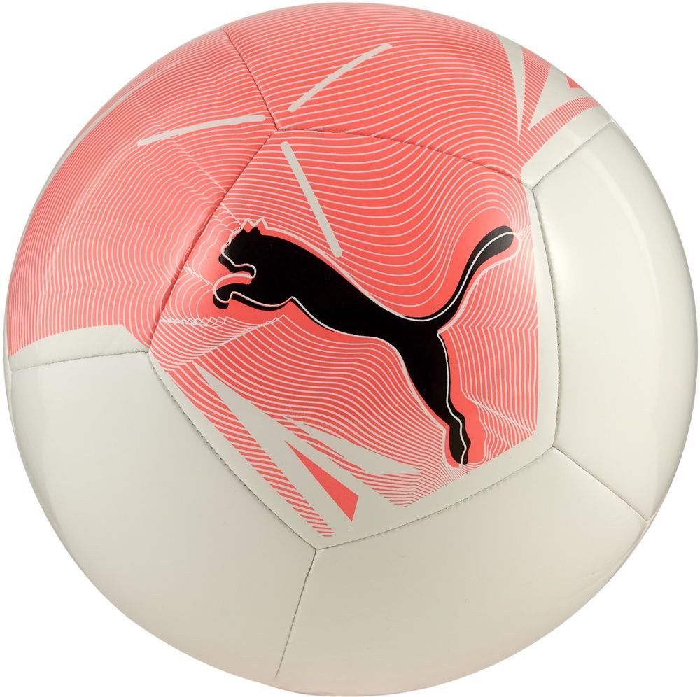 PUMA Fußball Big Cat Ball