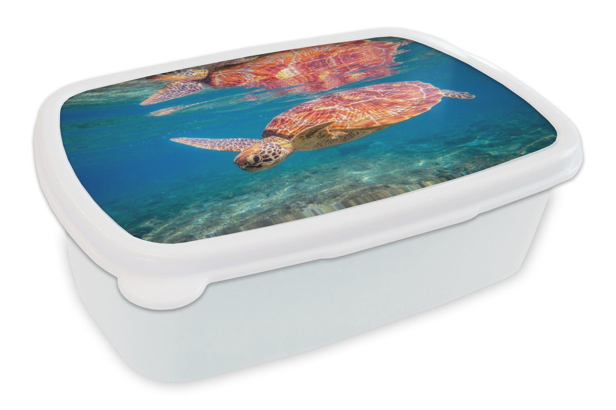 MuchoWow Lunchbox Schildkröte - Schwimmen - Wasser - Spiegelung, Kunststoff, (2-tlg), Brotbox für Kinder und Erwachsene, Brotdose, für Jungs und Mädchen weiß | Lunchboxen