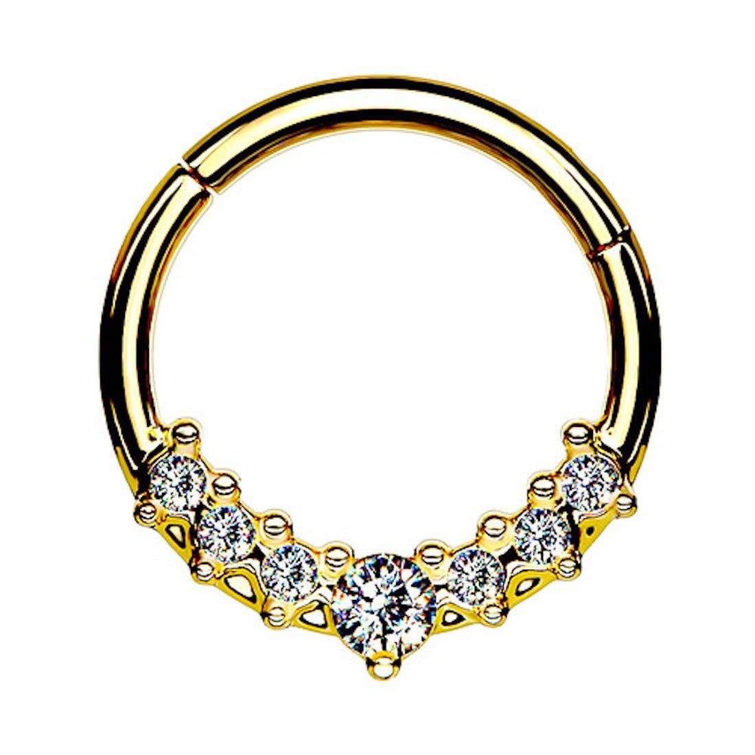 Taffstyle Nasenpiercing Septum Piercing Ring Segmentring Clicker Scharnier mit Kristallen, Nasenpiercing Nasenring Ohrpiercing Ohr Nase Tragus Helix Brust Intim