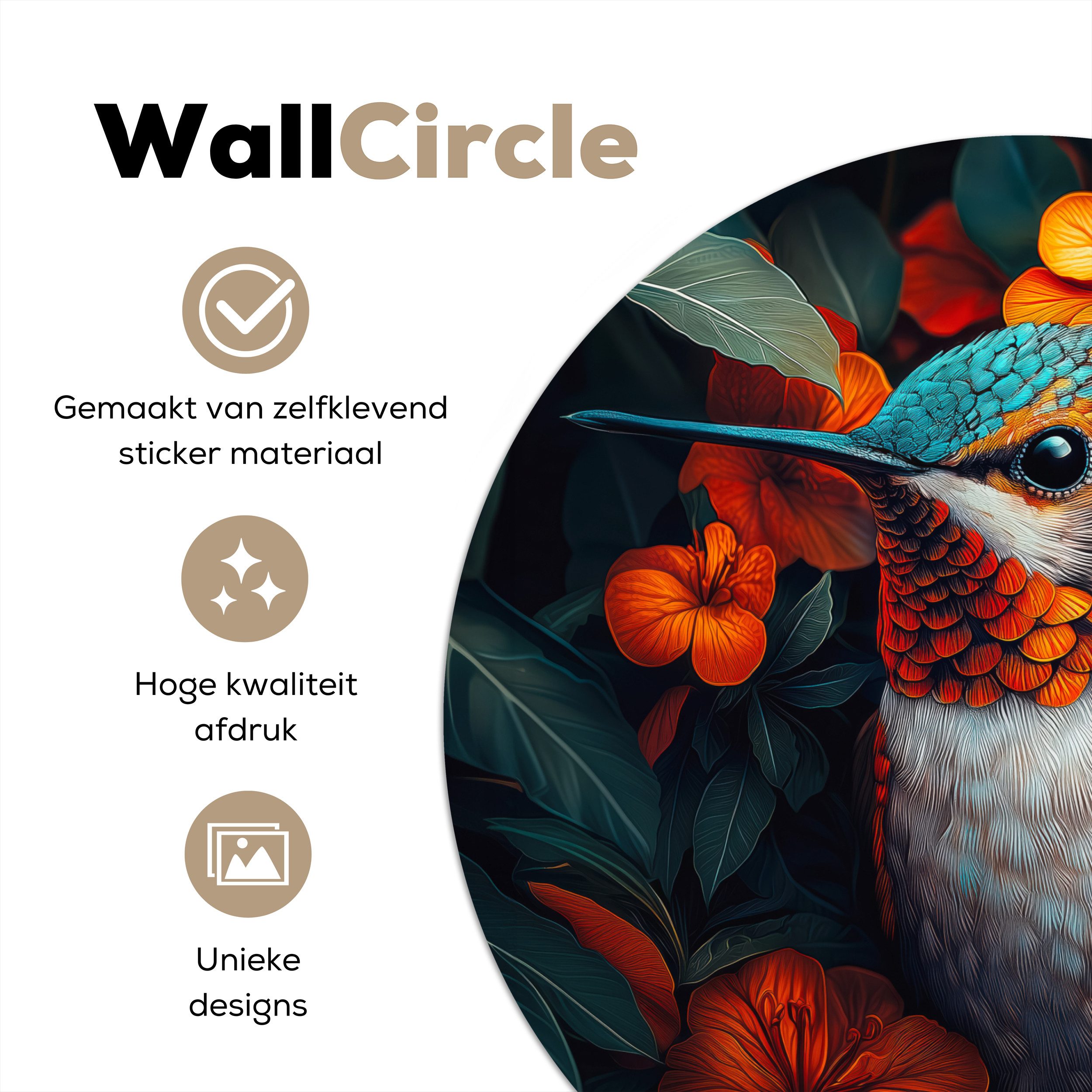 MuchoWow Wandsticker Kolibri - Vogel - günstig online kaufen
