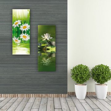 artissimo Glasbild Glasbild 30x80cm Bild aus Glas Wohnzimmer Blume Gänseblümchen grün, Foto: Natur und Pflanzen I