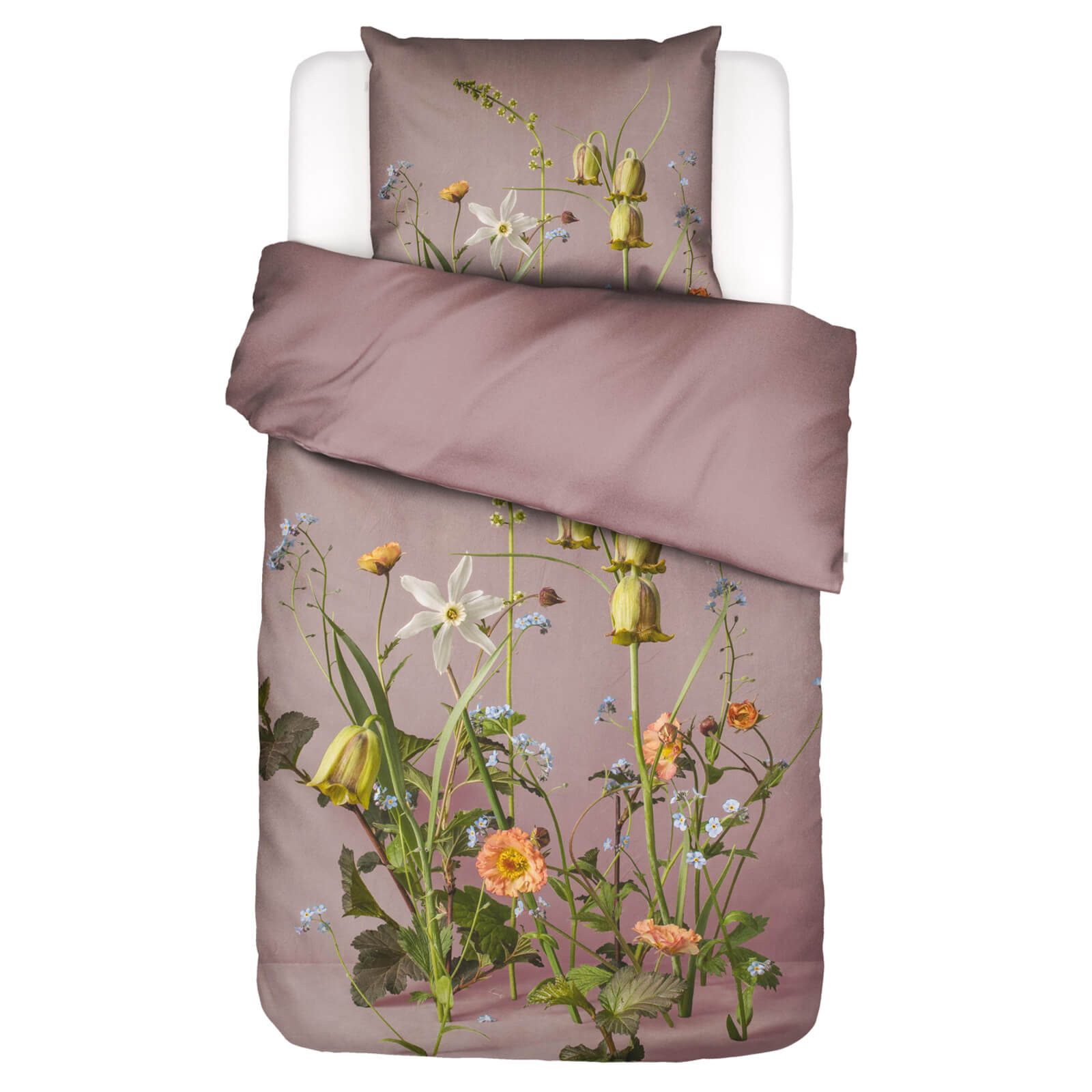 Essenza Bettwäsche Bettwäsche Ficaria Woodrose Satin, Satin, 2 teilig, Narzissen, Floral, Geblümt