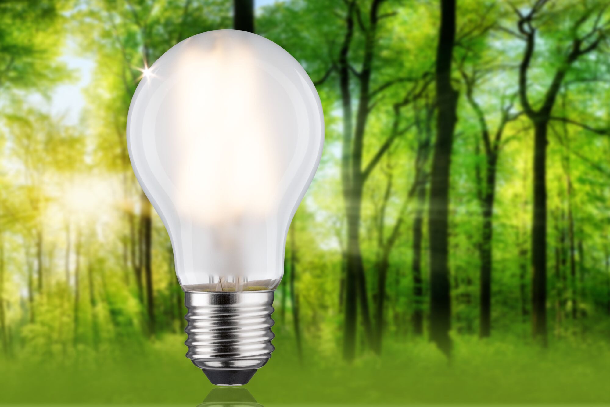 Paulmann LED-Leuchtmittel Eco-Line Filament 230V LED günstig online kaufen