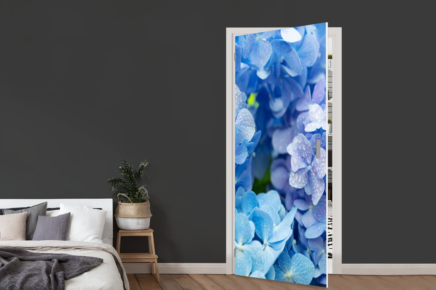 St), Botanisch Fototapete Türaufkleber, - Tür, (1 Hortensie Wassertropfen Floral - - - cm Türtapete 75x205 MuchoWow Blau, für Matt, bedruckt,