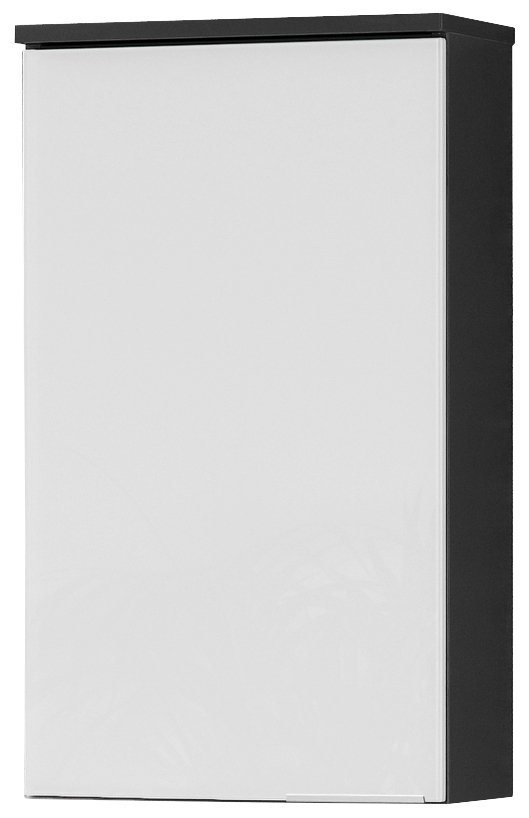 FACKELMANN Hängeschrank Kara Badmöbel Breite 40,5 cm, Elegante Optik durch  Front mit lackiertem Glas