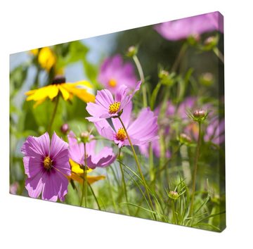 wandmotiv24 Leinwandbild Schöne Frühlingsblumen, Blumen und Pflanzen (1 St), Wandbild, Wanddeko, Leinwandbilder in versch. Größen