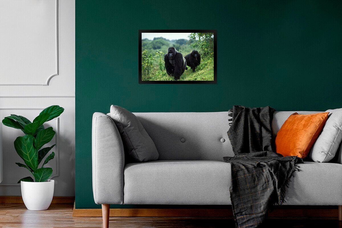 gefärbte Poster, schwarz Schwarzem Gerahmtes Gorillas Bilderrahmen MuchoWow Wanddeko, Wandposter, Poster grünen St), Bilder, (1 in Umgebung, Zwei einer