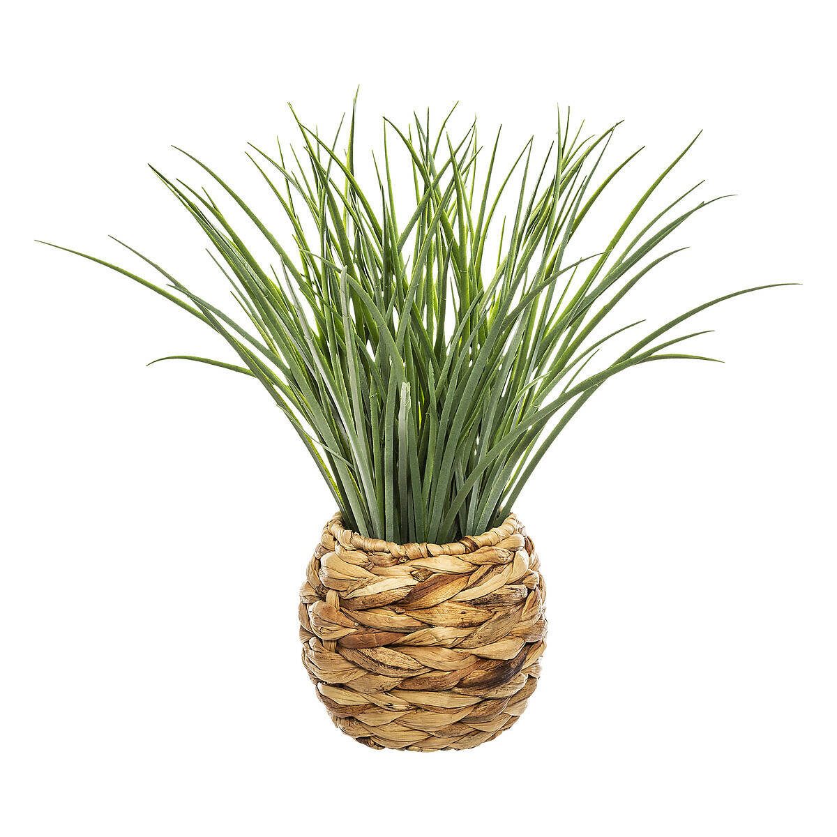 Kunstpflanze Kunstgras im Topf, 46 cm Zimmerpflanze, Atmosphera Créateur d'intérieur, Höhe 46 cm