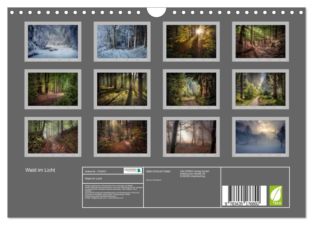 Thumbnail - CALVENDO Wandkalender Wald im Licht (Wandkalender 2025 DIN A4 quer), CALVENDO Monatskalender