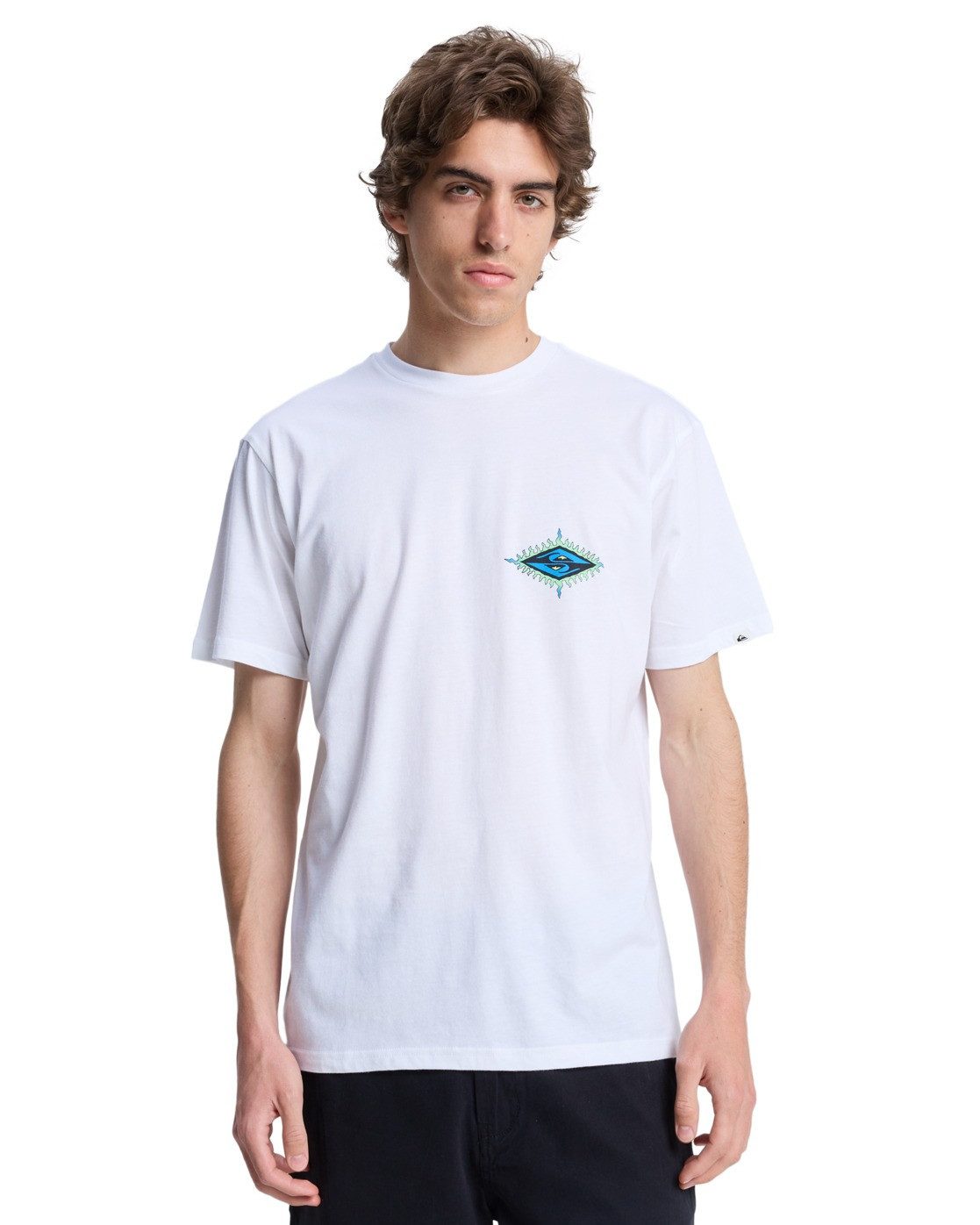 Quiksilver T-Shirt EV Beach Blast günstig online kaufen