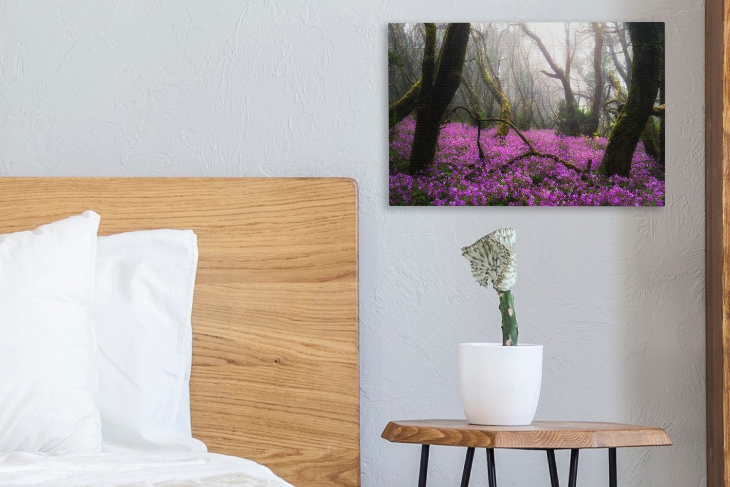 OneMillionCanvasses® Leinwandbild Leuchtend rosa Aufhängefertig, Wanddeko, 30x20 Blumen im Leinwandbilder, Wandbild cm in Spanien, (1 Garajonay-Nationalpark St)