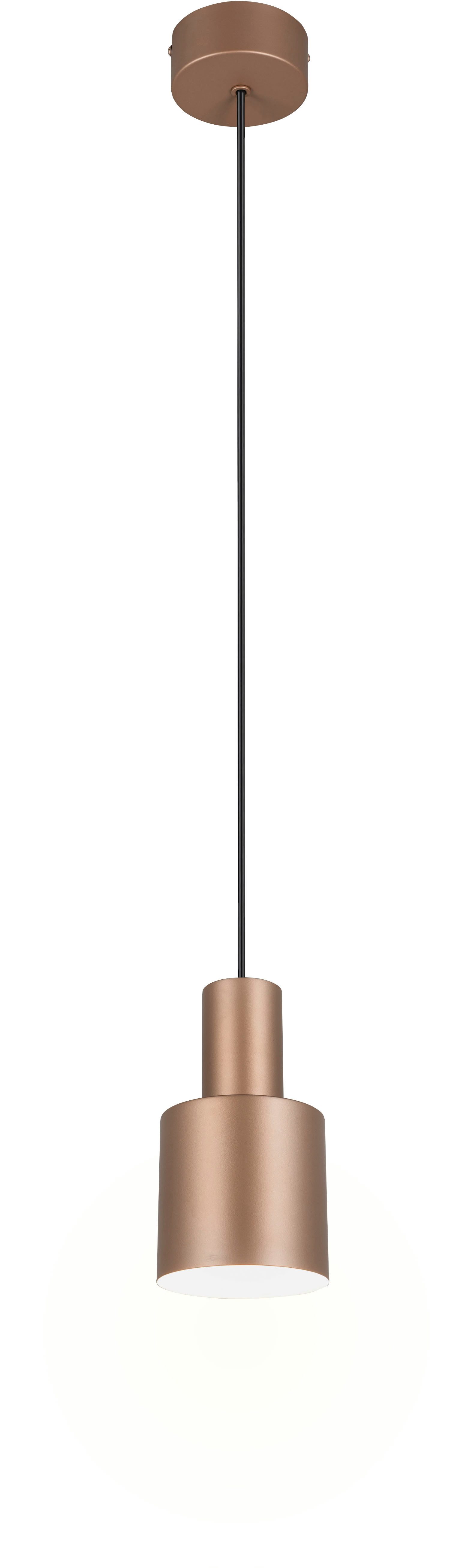 TRIO Leuchten Pendelleuchte AGUDO, Hängelampe 1-flammig, exkl 1xE27 max 10W günstig online kaufen