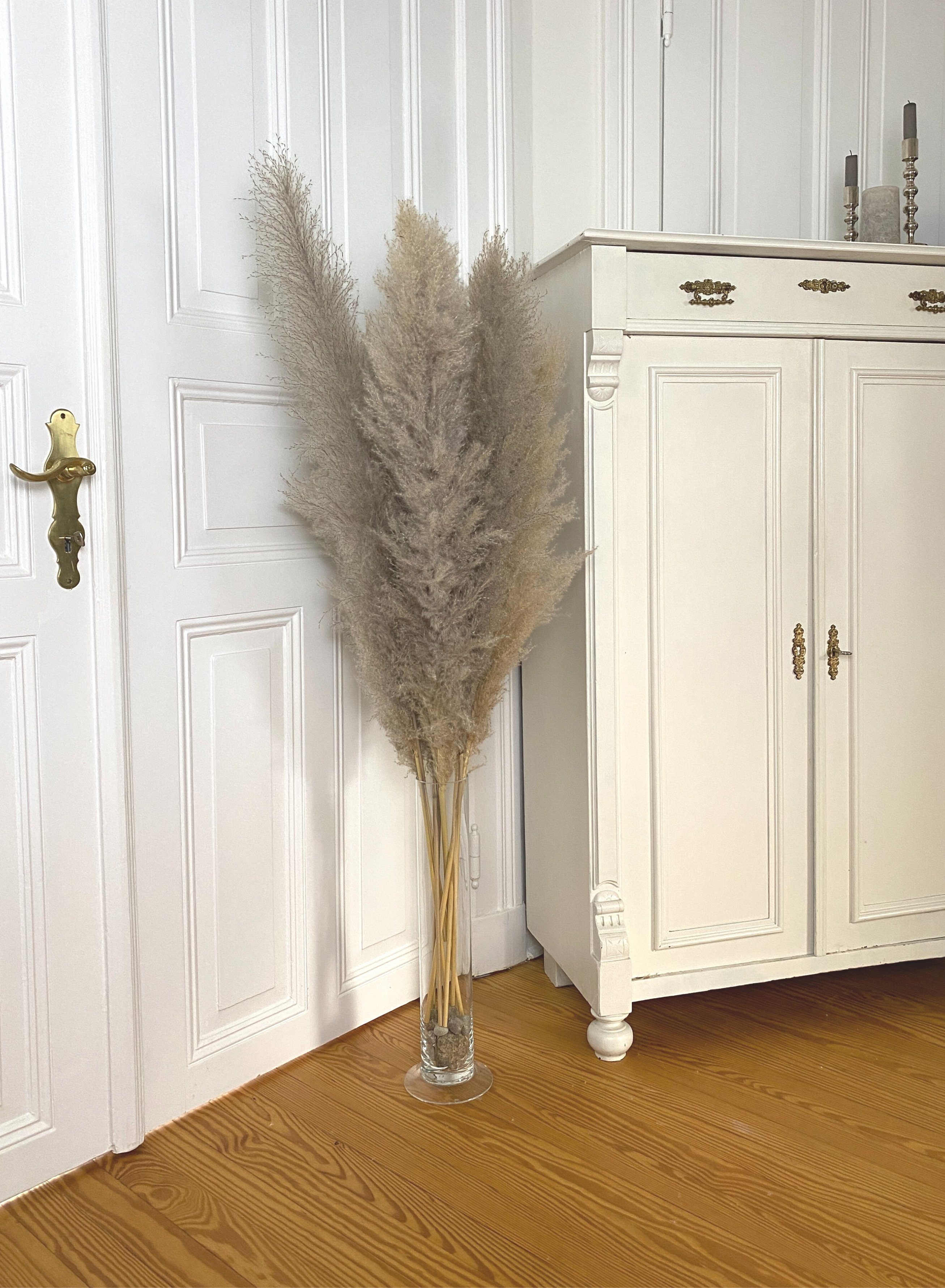 Trockenblume Pampasgras groß Deko grau 115 cm lang 3 Stück Trockenblumen, Nina-Maria's Deko Gold, Höhe 115 cm