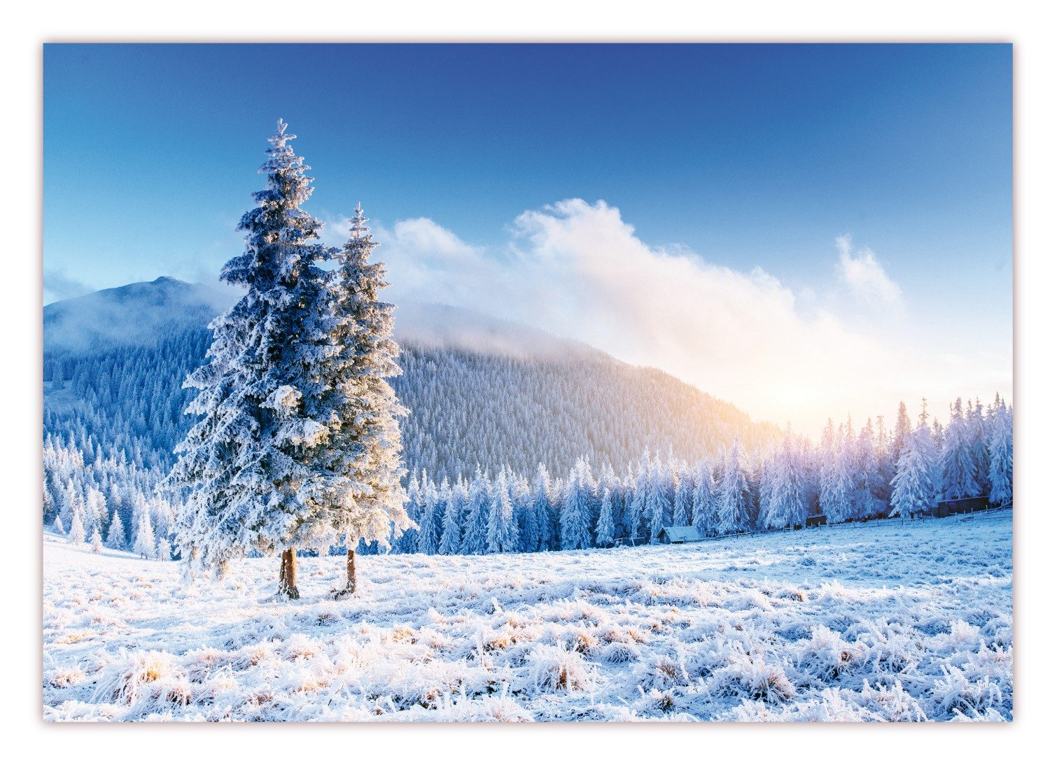 LYSCO Poster XXL Plakat Winter, Winterlandschaft, günstig online kaufen