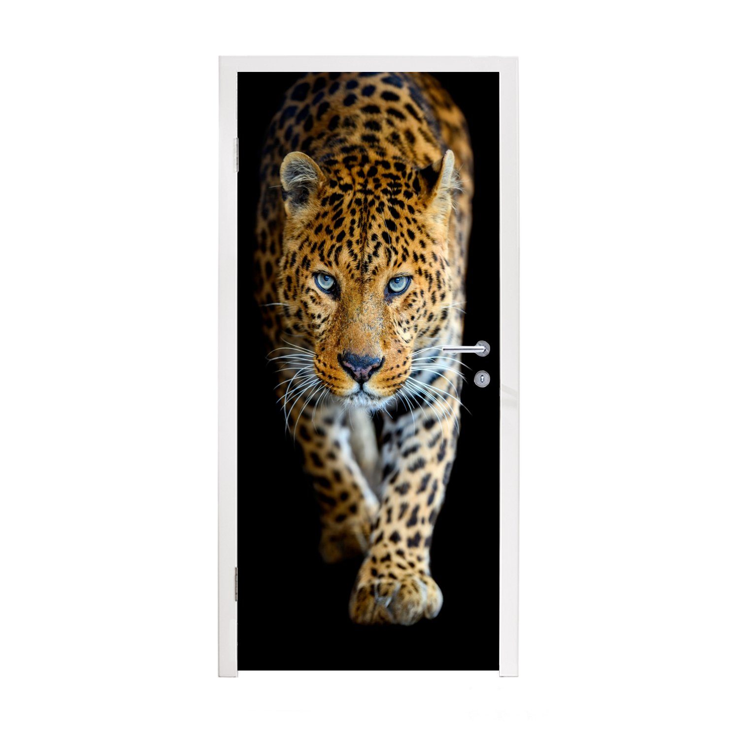 75x205 Türaufkleber, St), Tiere - MuchoWow Schwarz, - Fototapete Matt, Türtapete - Leopard cm Porträt bedruckt, (1 Tür, Wildtiere für -