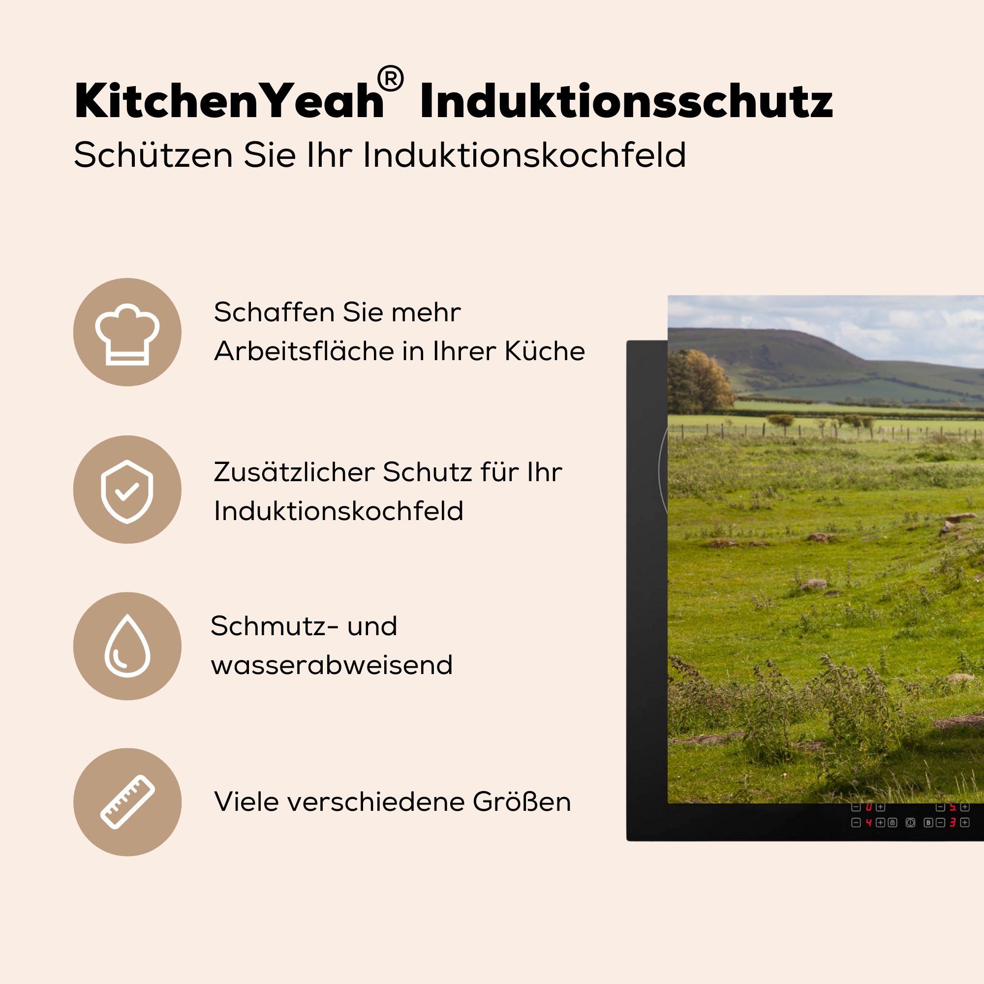 - die Herdblende-/Abdeckplatte Pferde, Grasland MuchoWow cm, küche, (1 tlg), Vinyl, Ceranfeldabdeckung 81x52 Clydesdale Schutz für Induktionskochfeld -