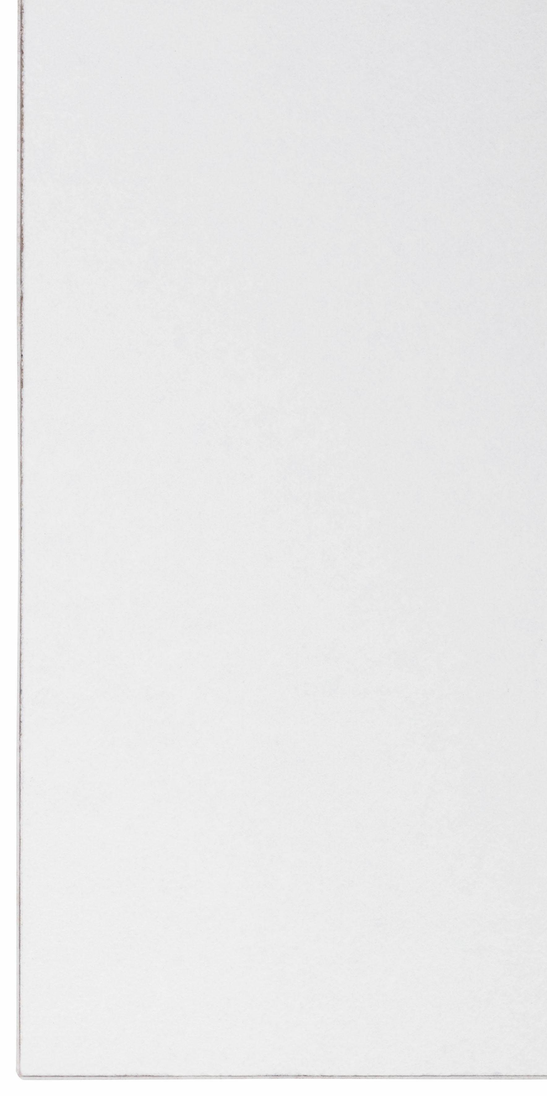 borchardt Möbel Spiegel Panama Spiegel 166x60 rahmen, Rahmen weiß, hochkant oder quer montierbar – Bild 5 von 5