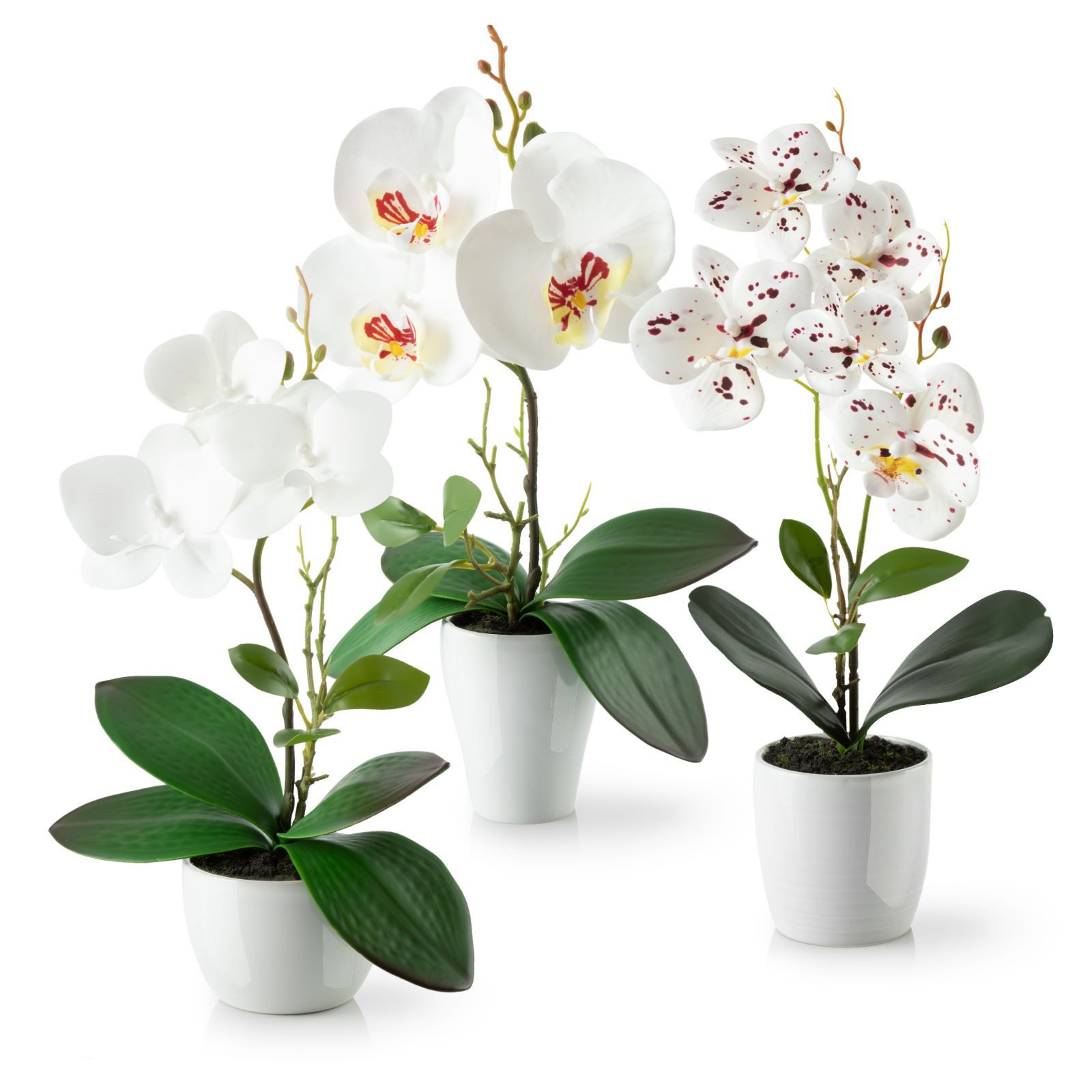Kunstorchidee 3er Set künstliche Orchideen wie echt (35cm) in Hochglanz-Ker günstig online kaufen